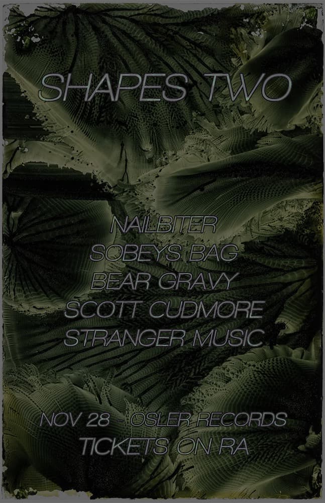 Shapes TWO flyer