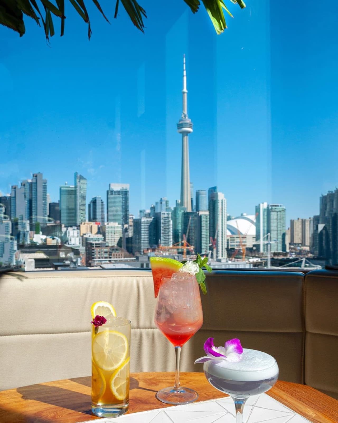 Cocktails on Lavelle's rooftop with the CN Tower and downtown skyline behind