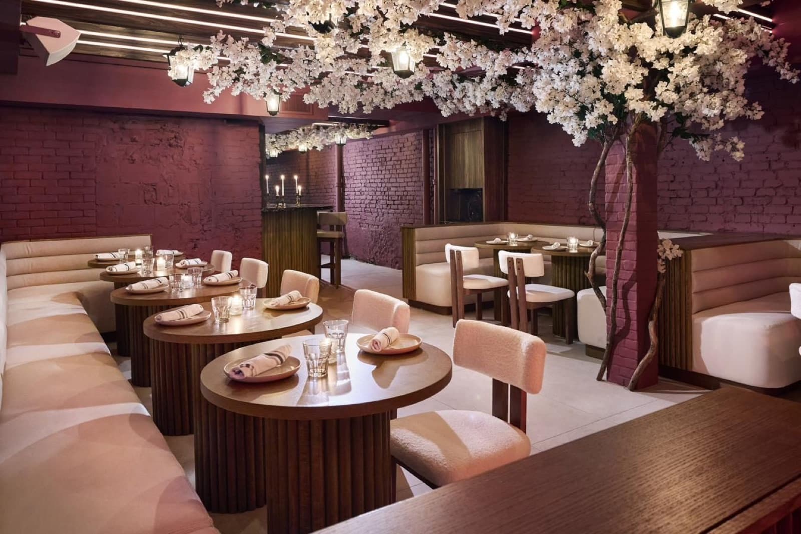 Taverna's dining room with plum brick walls, round tables and a blossom tree overhead
